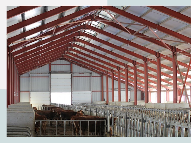 Строительство коровников в Черкесске