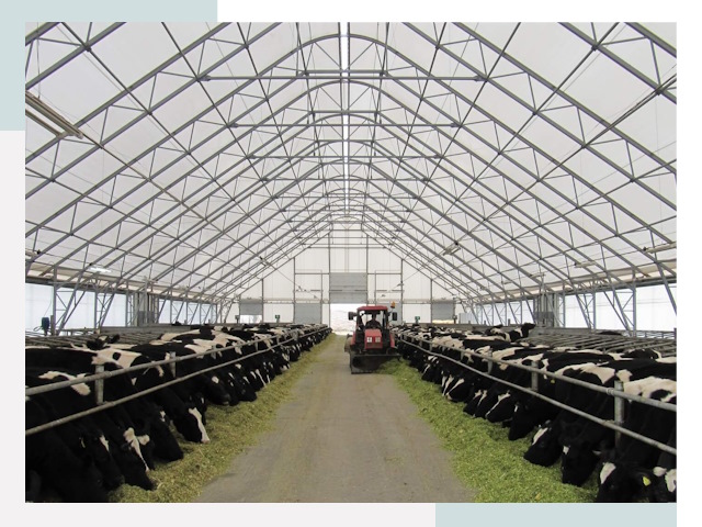 Тентовые коровники в Черкесске от 612 руб. - Надежно и доступно